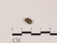 登錄號:F0004458藏品圖，第1張