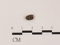 登錄號:F0004458藏品圖，第3張