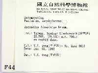 登錄號:F0004459藏品圖，第2張