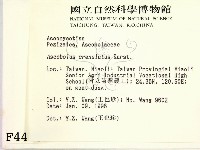 登錄號:F0004460藏品圖，第2張