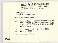 登錄號:F0004462藏品圖，第2張