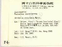 登錄號:F0004463藏品圖，第2張