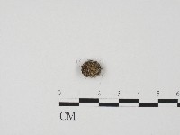 登錄號:F0004467藏品圖，第1張