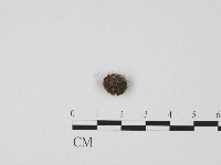 登錄號:F0004467藏品圖，第3張
