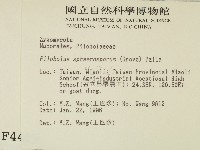 登錄號:F0004469藏品圖，第2張