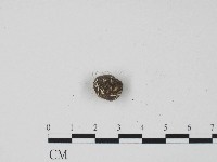 登錄號:F0004471藏品圖，第3張