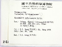 登錄號:F0004472藏品圖，第2張