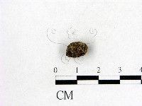 登錄號:F0004472藏品圖，第1張