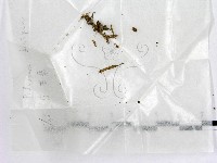 登錄號:F0004473藏品圖，第1張