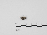 登錄號:F0004474藏品圖，第3張