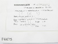 登錄號:F0004475藏品圖，第2張