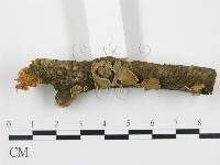 登錄號:F0004475藏品圖，第3張