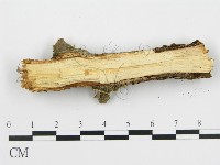 登錄號:F0004475藏品圖，第4張