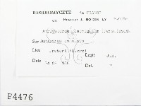 登錄號:F0004476藏品圖，第2張