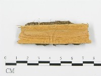 登錄號:F0004476藏品圖，第3張