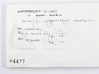 登錄號:F0004477藏品圖，第2張