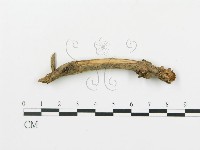 登錄號:F0004477藏品圖，第4張
