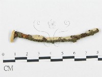 登錄號:F0004478藏品圖，第1張