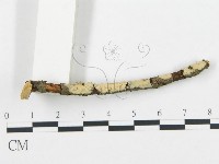 登錄號:F0004478藏品圖，第3張