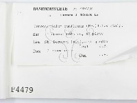 登錄號:F0004479藏品圖，第2張
