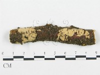 登錄號:F0004479藏品圖，第1張