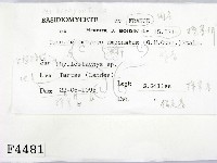 登錄號:F0004481藏品圖，第2張