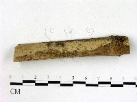 登錄號:F0004481藏品圖，第1張