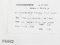 登錄號:F0004482藏品圖，第2張