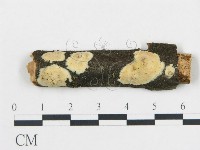 登錄號:F0004482藏品圖，第1張