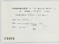 登錄號:F0004484藏品圖，第2張