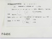 登錄號:F0004486藏品圖，第2張