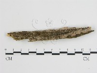 登錄號:F0004486藏品圖，第1張