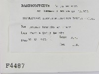 登錄號:F0004487藏品圖，第2張