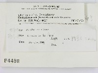 登錄號:F0004488藏品圖，第2張