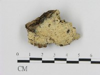 登錄號:F0004488藏品圖，第1張