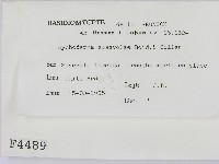 登錄號:F0004489藏品圖，第2張