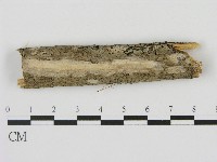 登錄號:F0004489藏品圖，第1張