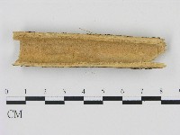 登錄號:F0004489藏品圖，第3張