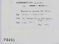 登錄號:F0004490藏品圖，第2張