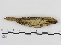 登錄號:F0004490藏品圖，第1張