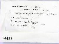 登錄號:F0004493藏品圖，第2張