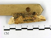 登錄號:F0004493藏品圖，第3張