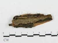 登錄號:F0004494藏品圖，第1張