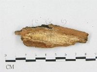 登錄號:F0004494藏品圖，第3張