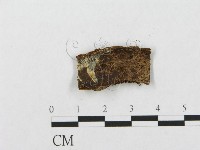 登錄號:F0004495藏品圖，第3張