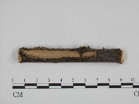 登錄號:F0004497藏品圖，第1張