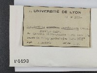 登錄號:F0004498藏品圖，第2張