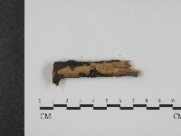 登錄號:F0004498藏品圖，第3張