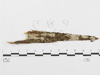 登錄號:F0004499藏品圖，第3張