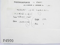 登錄號:F0004500藏品圖，第2張